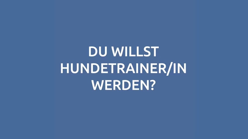 Blauer Hintergrund mit zentrierter weißer Großschrift: DU WILLST HUNDETRAINER/IN WERDEN?