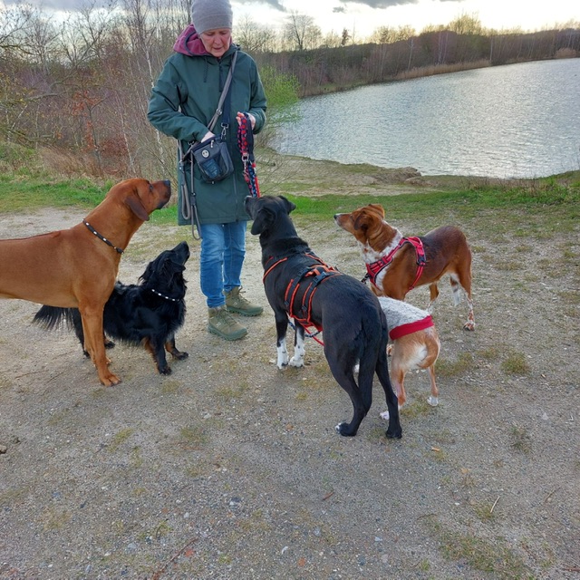 Marion von Buddha-Dog