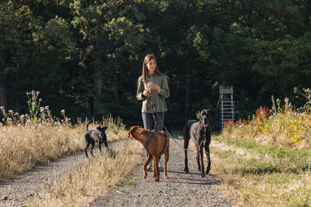 Regina von enjoy your paws