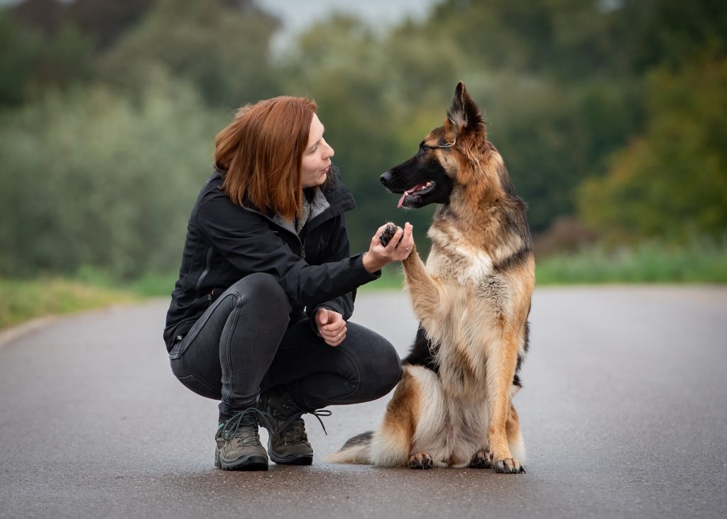 Tanja von Everyday Dogs Hundetraining