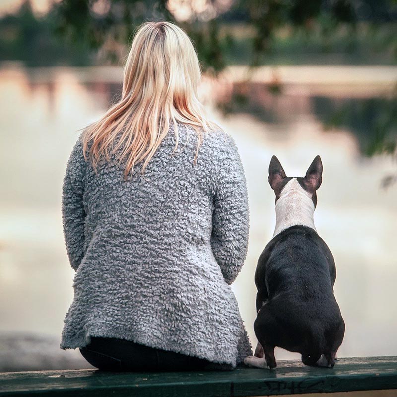 Dein Hund ist so, wie Du ihn siehst – Mentaltraining im Hundetraining