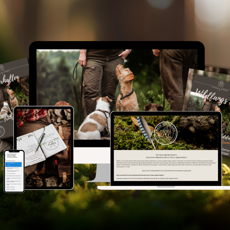 Online-Seminar: Coaching für Wilddiebe
