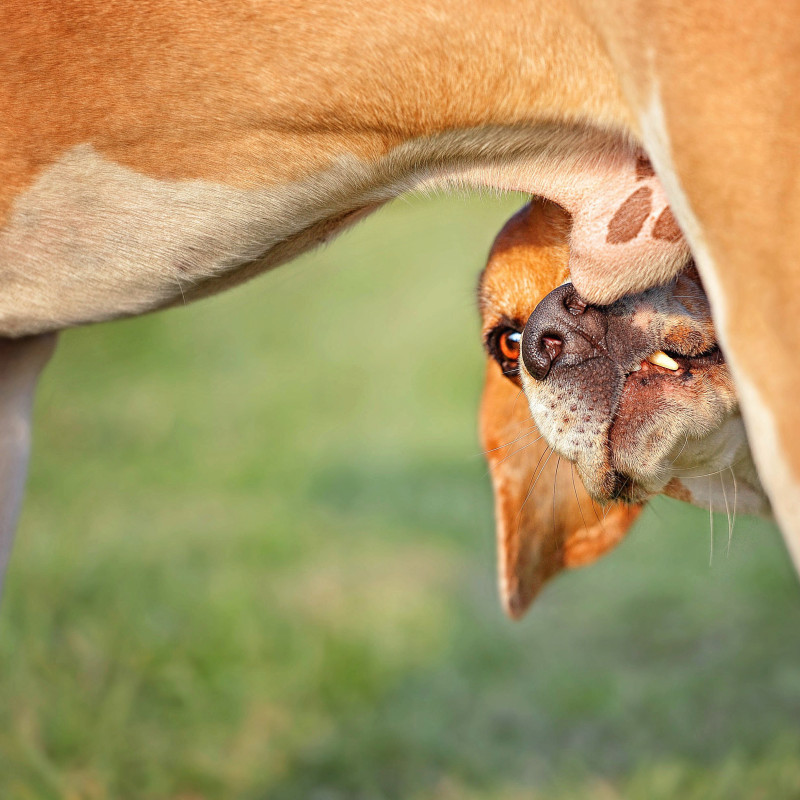 Online-Seminar: Let’s talk about Sex!