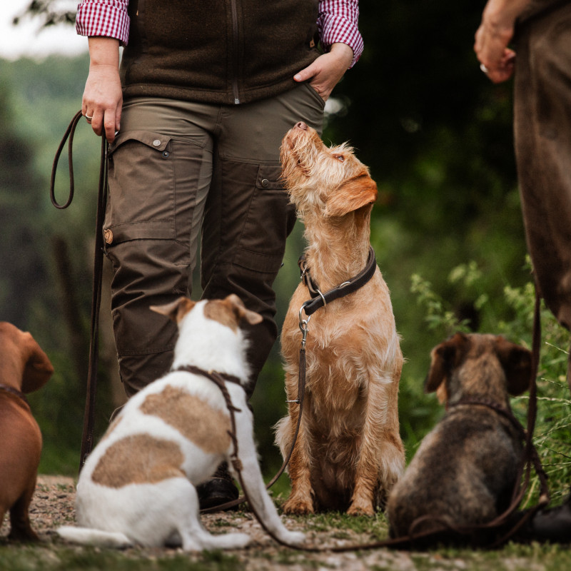 Jagdkontrolltraining