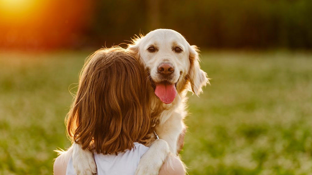 Ein heller Hund legt seine Vorderpfoten um die Schultern einer Frau und schaut entspannt in die Kamera, während beide auf einer Wiese im warmen Abendlicht sitzen.