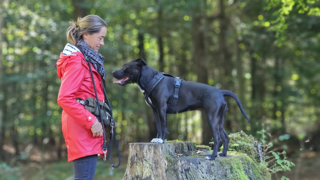 Mirja von mirava Hundetraining