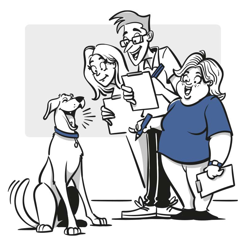 Analysetools für Hundetrainer II – Von der Analyse zum Behandlungsplan
