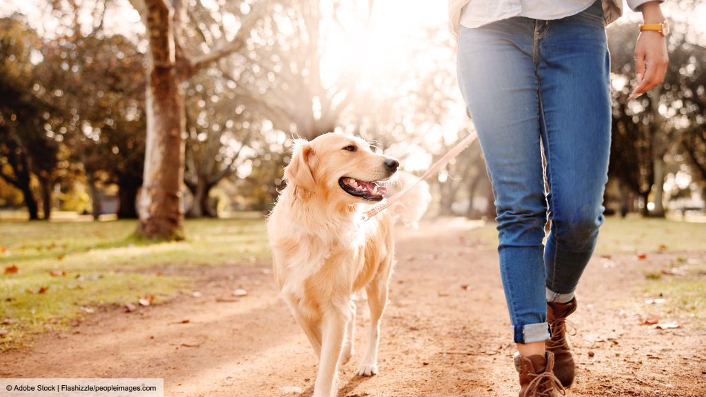 Frau geht mit ihrem Hund an der Leine über einen Weg im Park.
