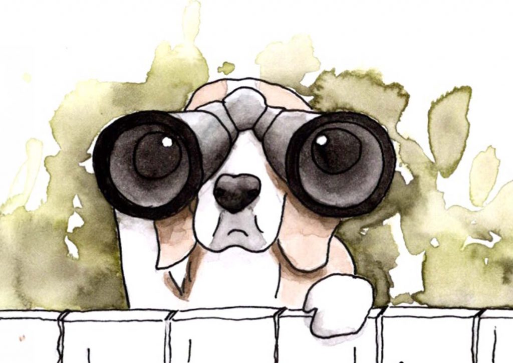 Illustrative Darstellung eines Beagle , der mit einem Fernglas über einen Zaun Ausschau hält
