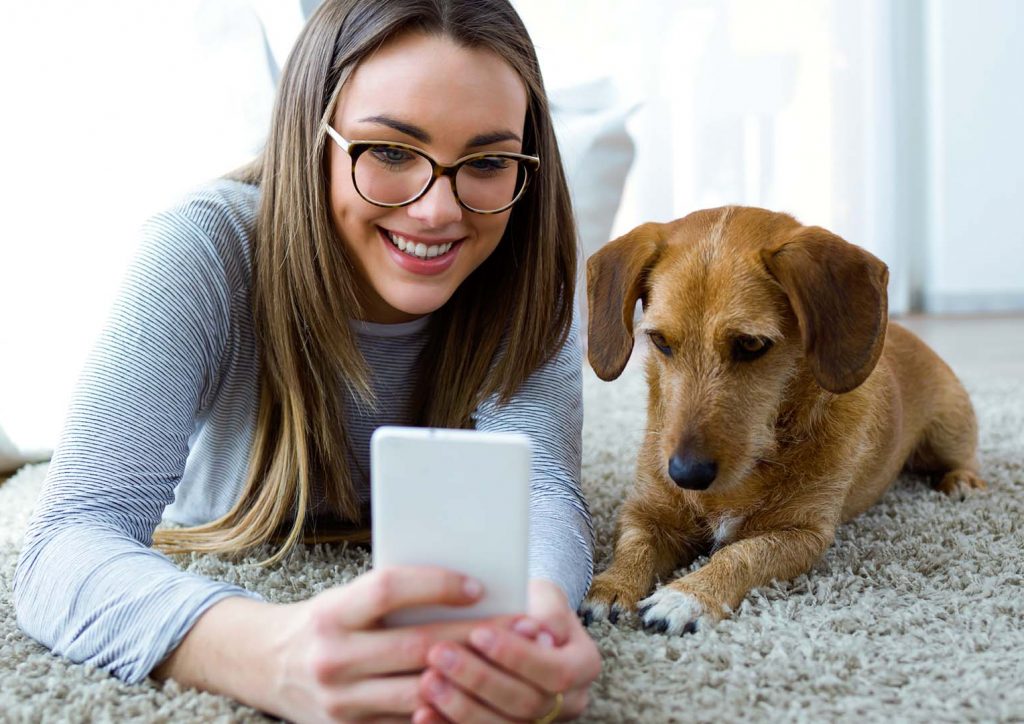 Bildlink zur Info-Seite „Sachkundelehrgang Hundehaltung“